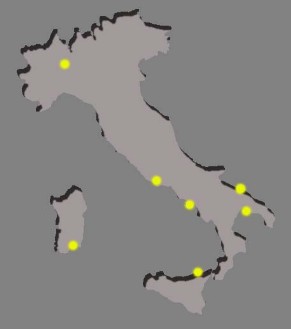 CONSULENTI RIGENERATO ASCENSORI 